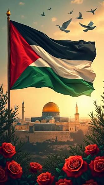 Palestina Collection